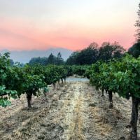 Rural Lands Preservation